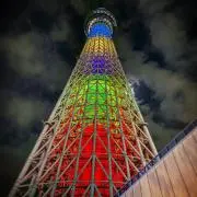 ぽんちょ
