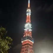 さくらの画像
