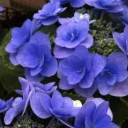 ☆regen☆プロフ必読