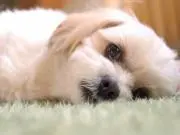 ☀️はるのん☀️期間限定セール中✨の画像