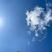 ぽいまんの画像