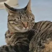 Jun