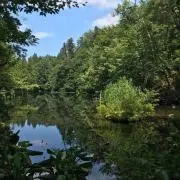 dnsyrの画像