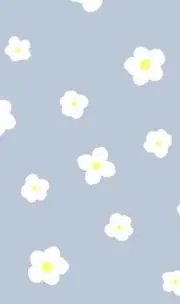 おれんじの画像