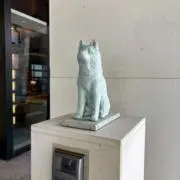 夏目の画像