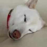 みぅ0808の画像