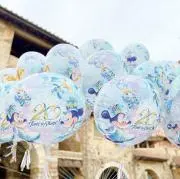 RITZの画像