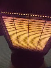 めにょんの画像