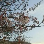 なすく (プロフィール、一読下さい)の画像