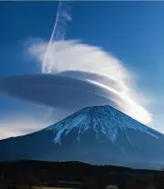 タコタコ