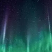 のり。