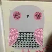 vaniの画像