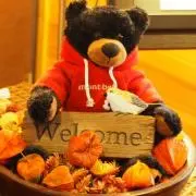 未来