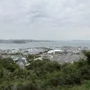 くろみんの画像