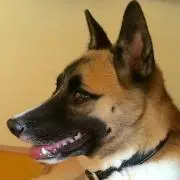 DON