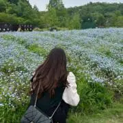 なんの画像