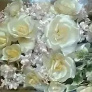 G＆Bの画像