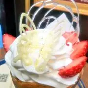 木々姉の画像