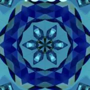 花の画像