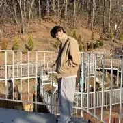 stayの画像