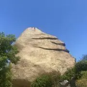 もちの画像