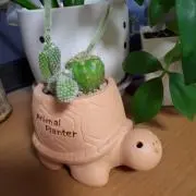 いのっちの画像