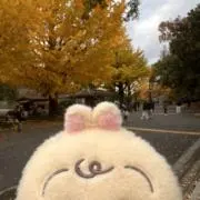 ウラヤハ^（引越しのため出品)の画像