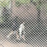 ぽんすぼんす 即購入⭕️の画像