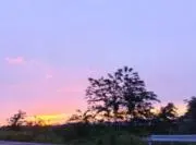 てんつきの画像