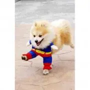 こげぱんの画像