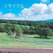 芝の画像