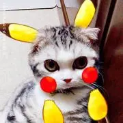 さえぴの画像