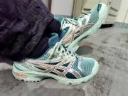 cultral geneの画像