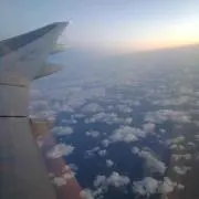 まなち