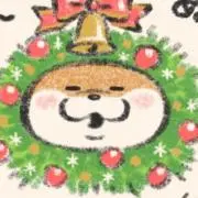aaay※の画像