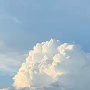 らいの画像