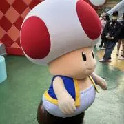 きのこのあたまの画像