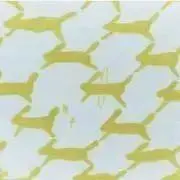 noi＊の画像