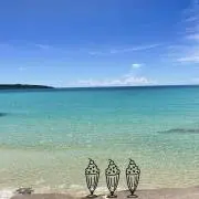 ちゃんゆみの画像