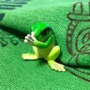 しょうゆの画像