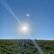(∵)の画像