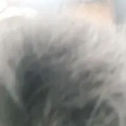 でぃーで