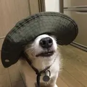 Springhillアウトスプリングヒル観察用焚き火台、ティーポット - メルカリ