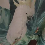 ゆー