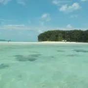 たくあんの画像