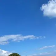 RUの画像