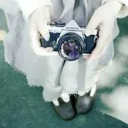 なめこの画像