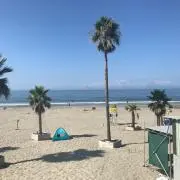 ちりつもの画像