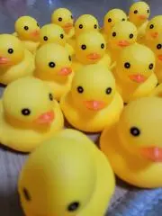 卵￣(=∵=)￣の画像