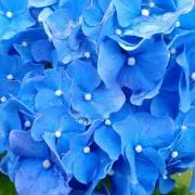 ままぴ♡断捨離中の画像